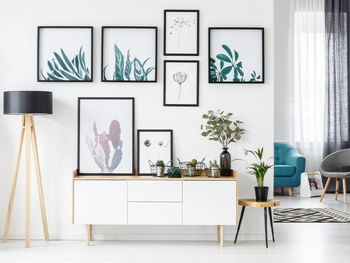 photo frames hanging on wall with potted plants
